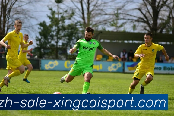 杏彩体育APP 封面图